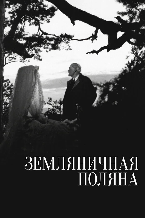 Земляничная поляна